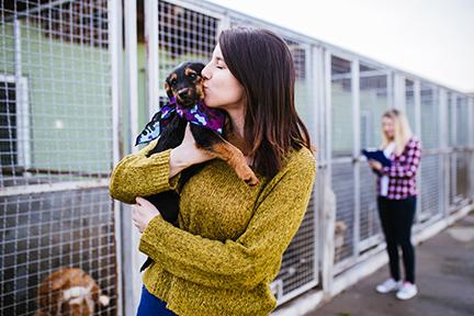Dog shelter