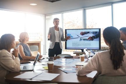 diverse business people having a meeting