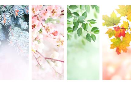 seasons