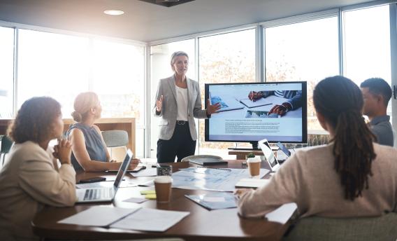 diverse business people having a meeting