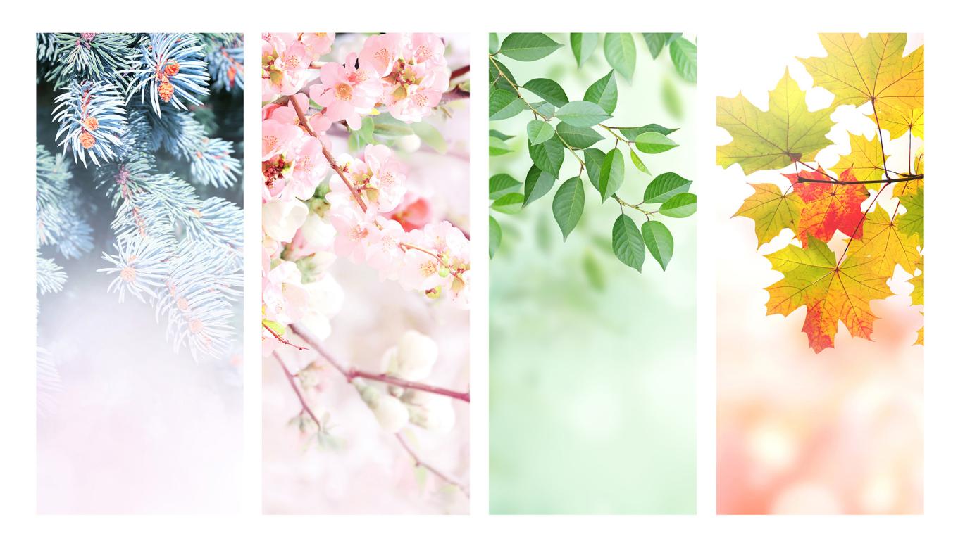 seasons full color