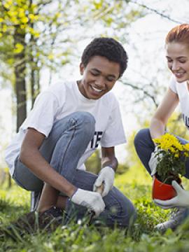 volunteers planting trees